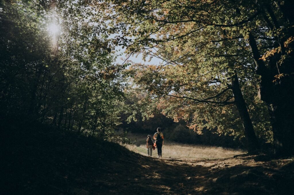 A regular nature walk lets kids watch the seasons change on a familiar route